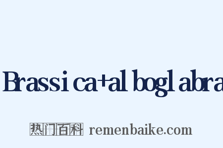 Brassica alboglabra是什么意思的图片